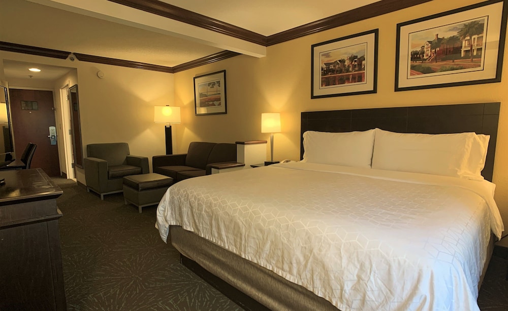 Standard Room, 1 King Bed with Sofa bed photo 3
