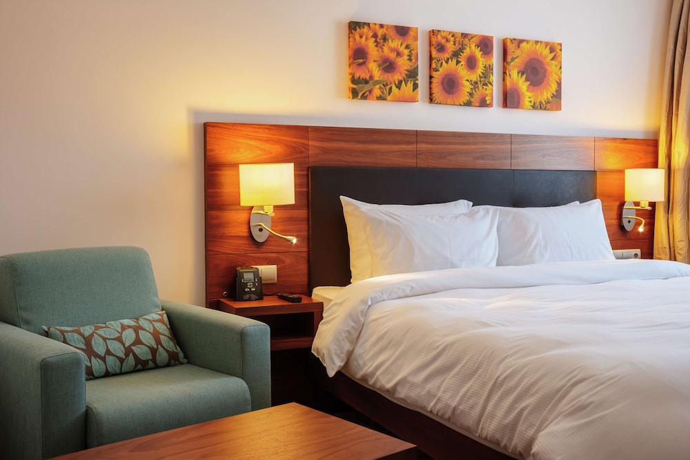 Room, 1 King Bed