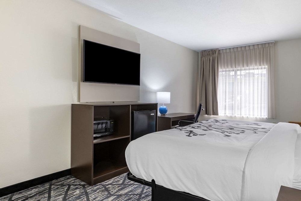 Standard Room, 1 King Bed, Non Smoking - Photo 4