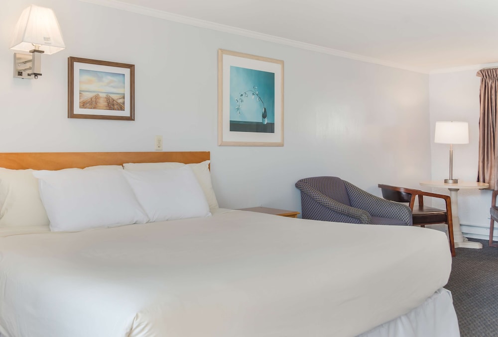 Room, 1 King Bed, Accessible, Non Smoking - Photo 1