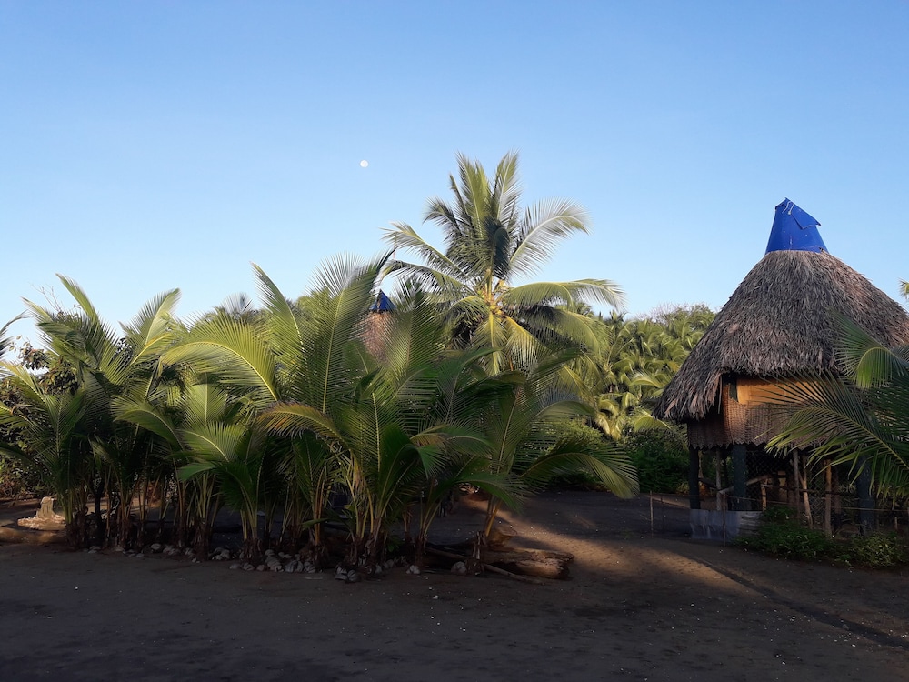 Traditional Cabin, 1 Double Bed, Ocean View, Beachside photo 1