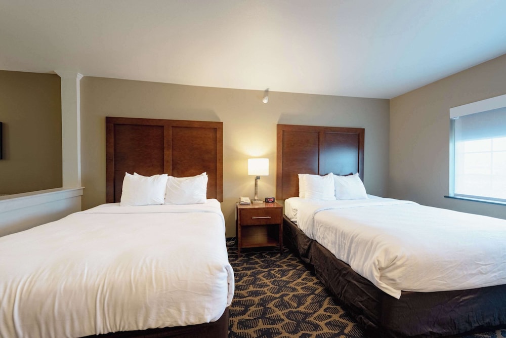Suite, Multiple Beds, Non Smoking - Photo 4