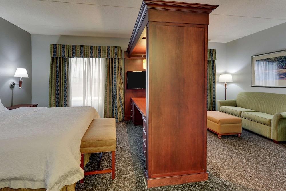 Suite, 1 King Bed Studio, Accessible (Mobility, Roll-in Shower) photo 3