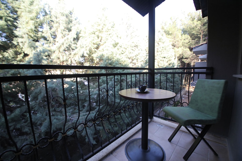 Standard Double or Twin Room, 1 Bedroom, Accessible, Mountain View photo 3