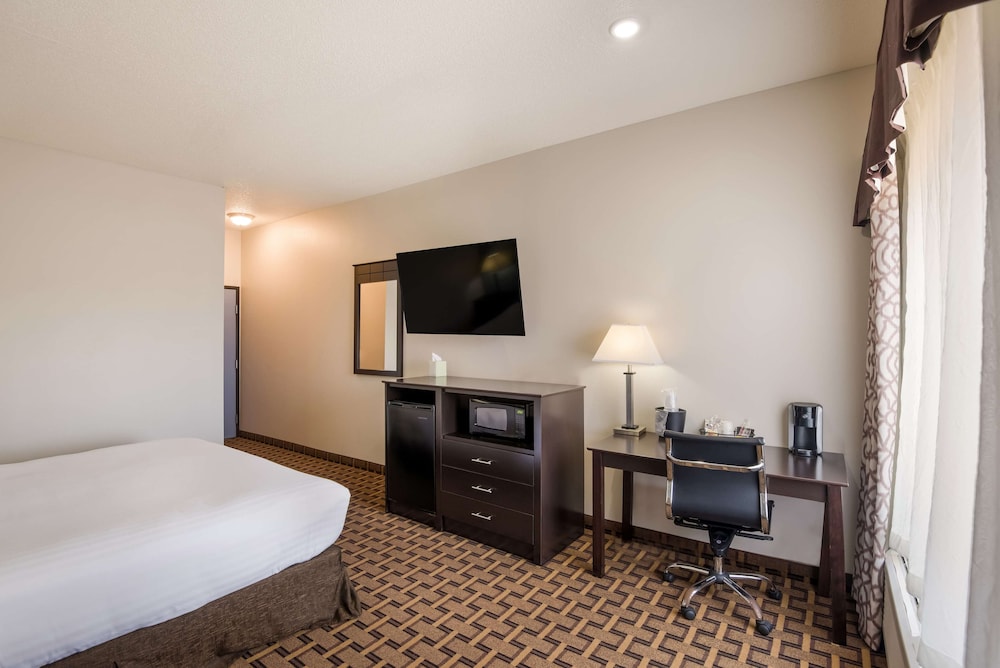 Standard Room, 1 King Bed, Non Smoking, Refrigerator & Microwave (with Sofabed) - Photo 7