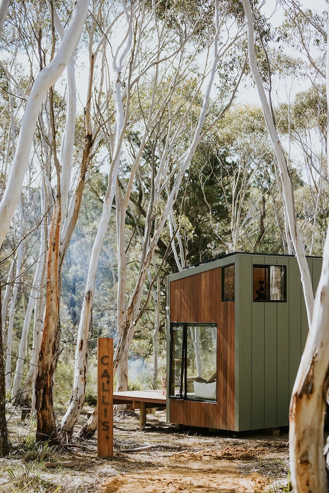 Standard Cabin, 1 Queen Bed, Non Smoking, Mountain View photo 3