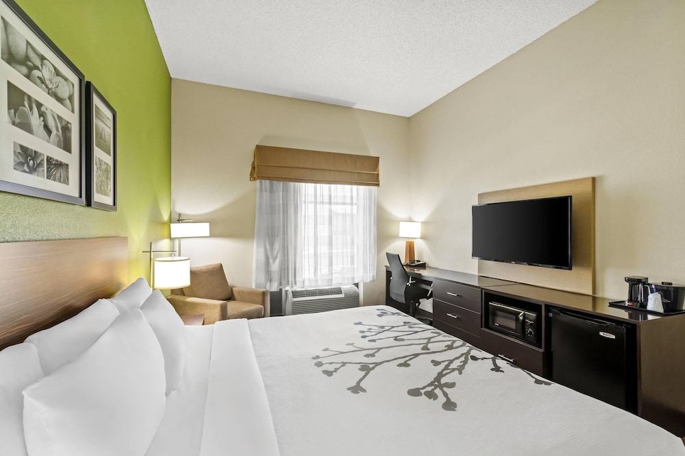 Room, 1 King Bed, Accessible, Non Smoking - Photo 3