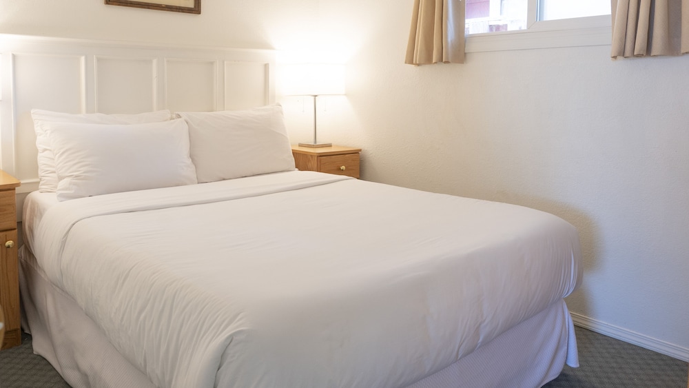Suite, 1 Bedroom, Kitchenette photo 2