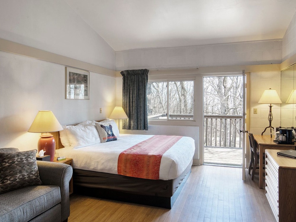 Room, 1 King Bed, Accessible - Photo 1