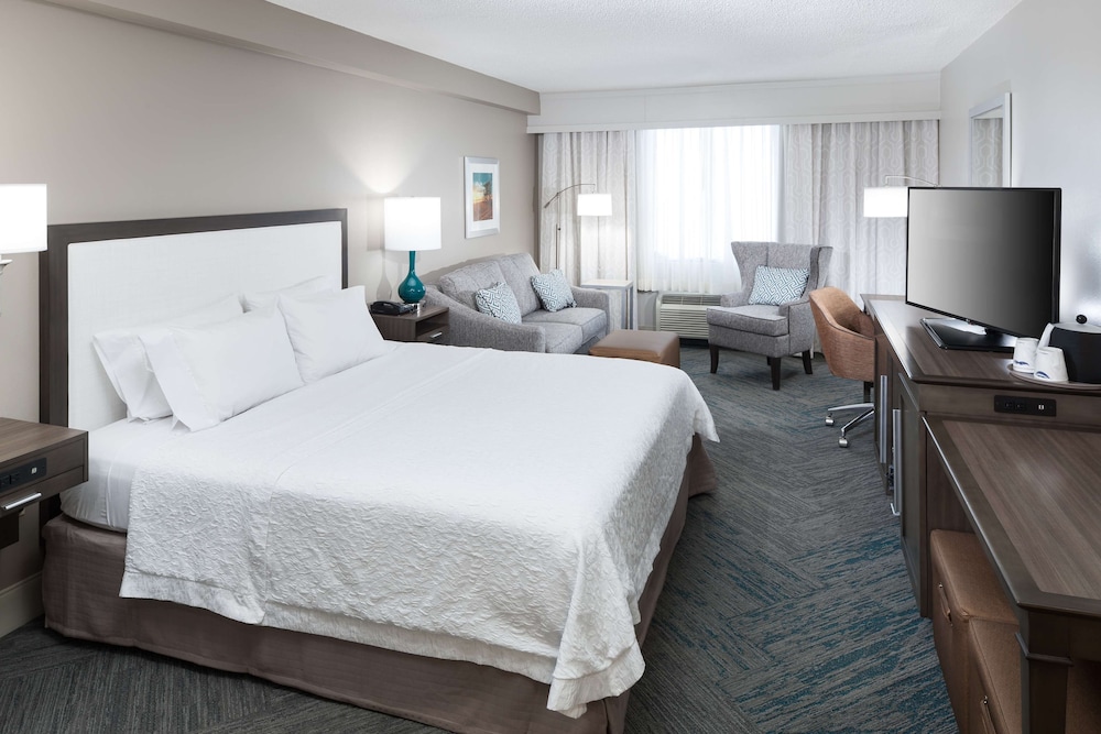 Standard Room, 1 King Bed with Sofa bed, Accessible, Bathtub - Photo 4