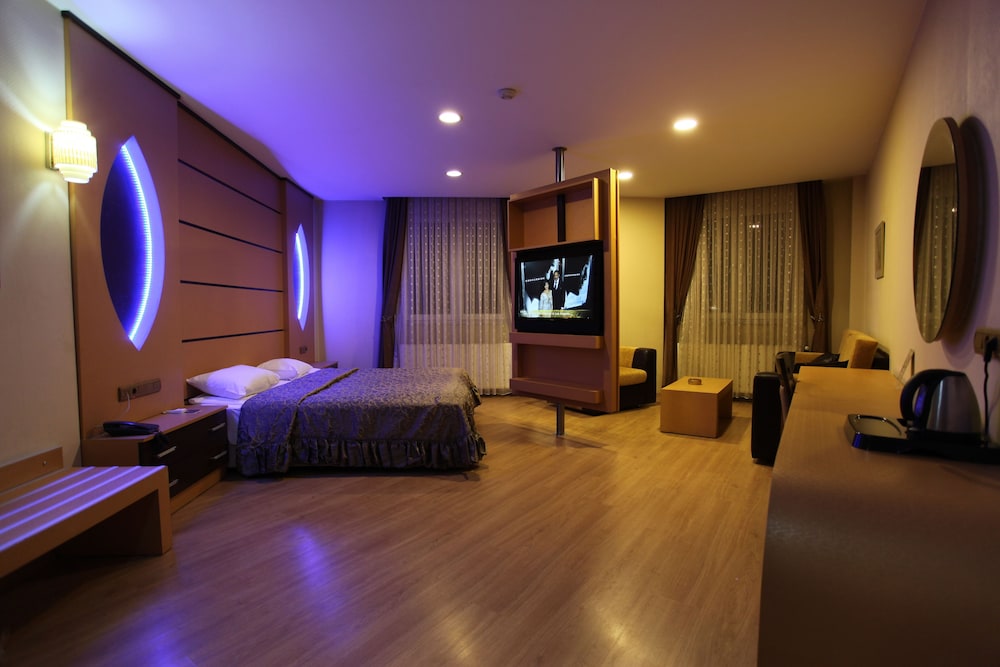 Deluxe Double or Twin Room photo 3