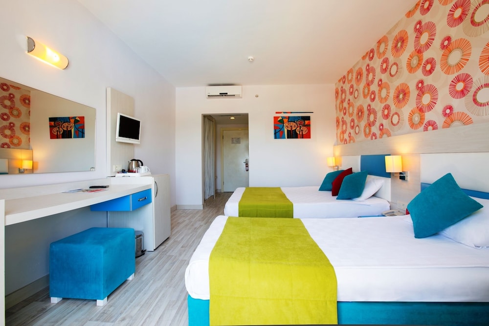 Room, 2 Twin Beds photo 3