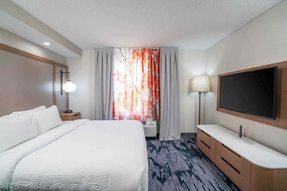 Suite, 1 King Bed with Sofa bed photo 1