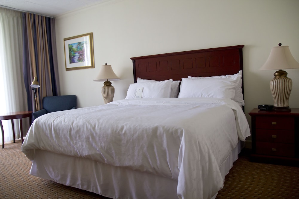 Junior Suite, 1 King Bed (No View) - Photo 1