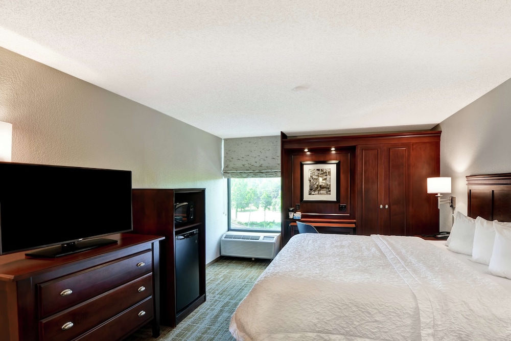 Room, 1 King Bed, Accessible, Bathtub - Photo 1
