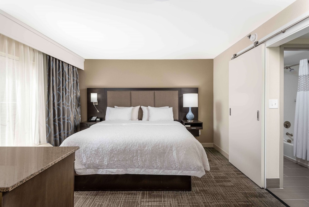 Suite, 1 King Bed photo 2