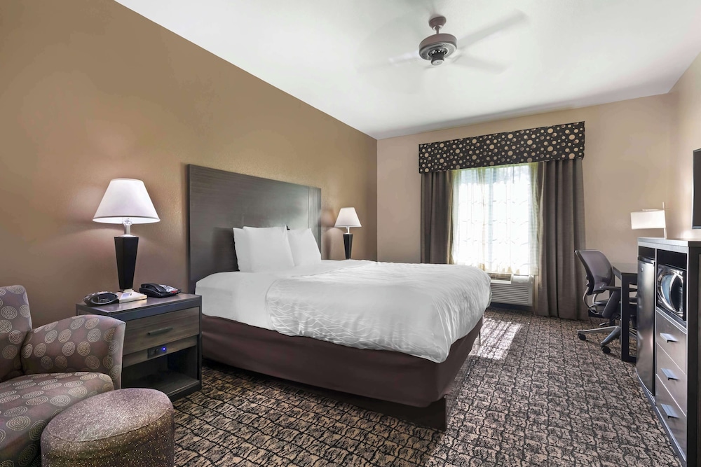 Standard Room, 1 King Bed, Non Smoking, Refrigerator & Microwave - Photo 1