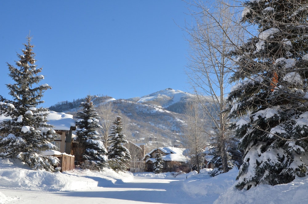 Exclusive Townhome, 4 Bedrooms, Non Smoking photo 2