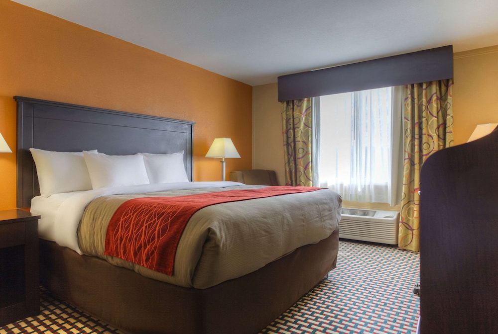 Standard Room, 1 King Bed, Non Smoking photo 1