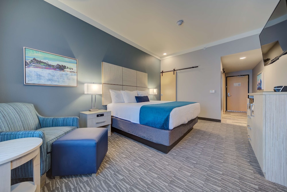 Standard Room, 1 King Bed, Accessible, Refrigerator & Microwave photo 3