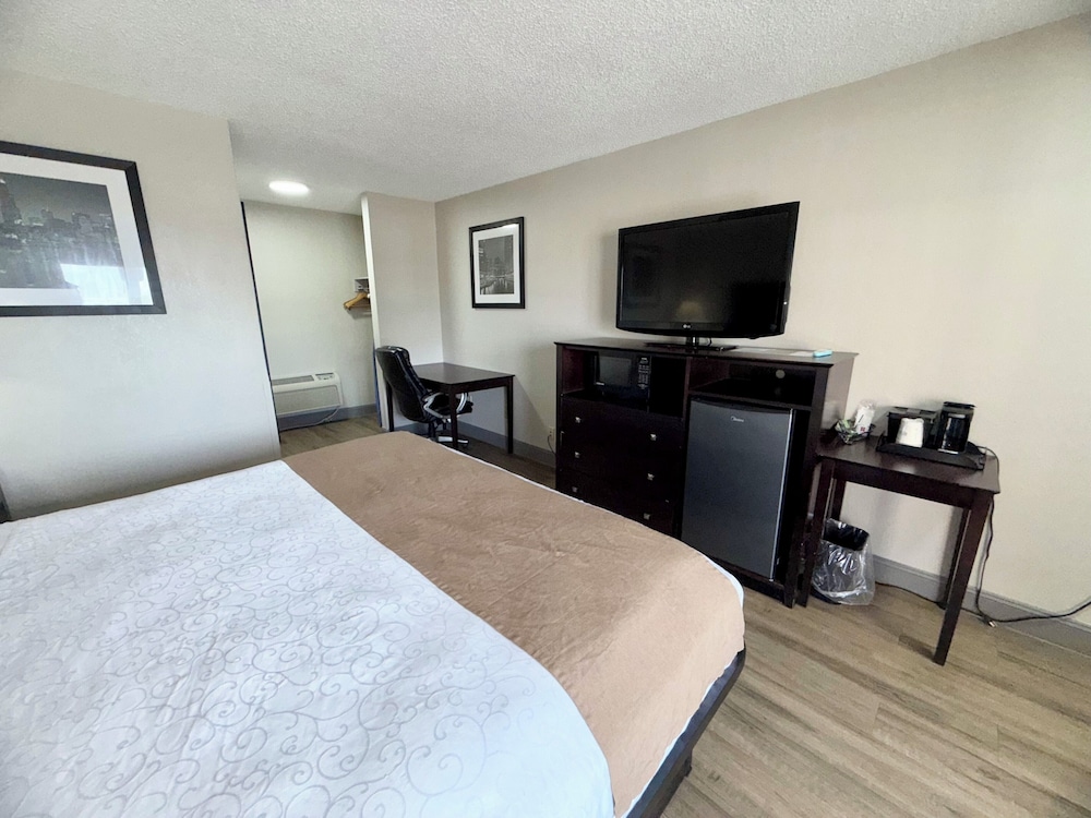 Room, 1 King Bed, Roll-in Shower, Non Smoking - Photo 4