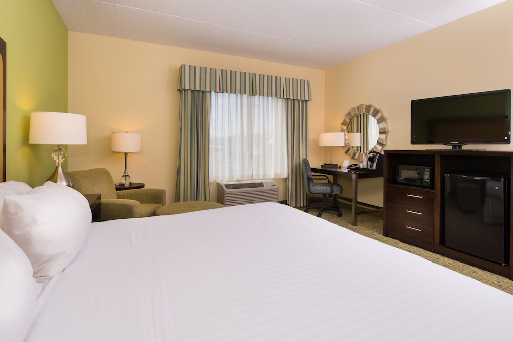 Standard Room, 1 King Bed, Roll-in Shower (Communications Accessible) - Photo 4