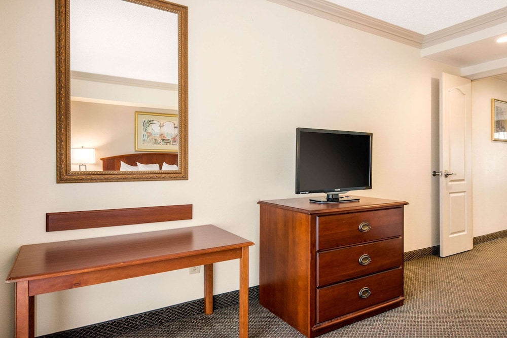 Suite, 1 King Bed with Sofa bed, Non Smoking - Photo 5
