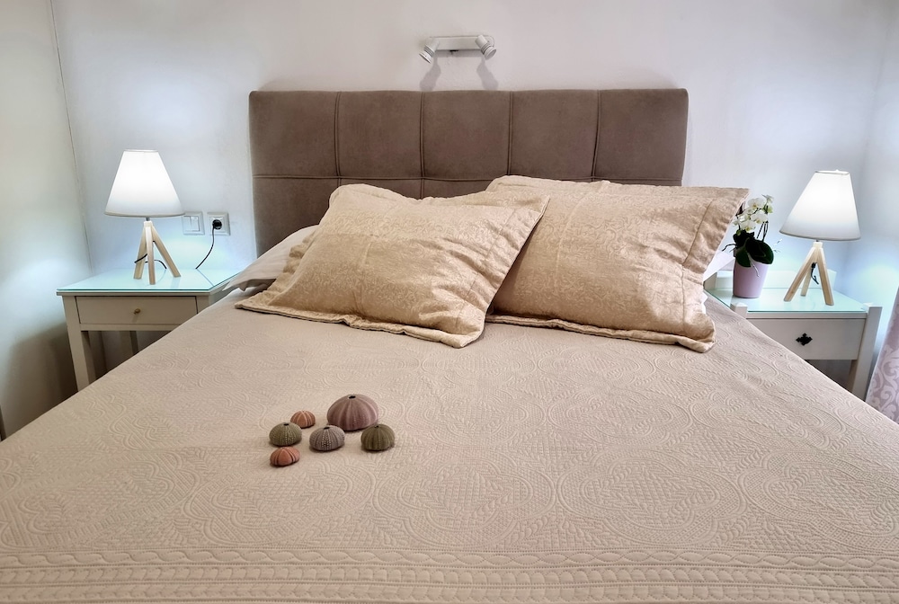 Apartment (Cozy)