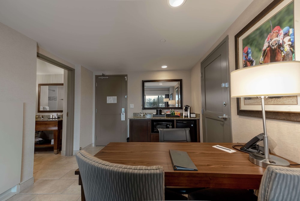 King, Premium Suite