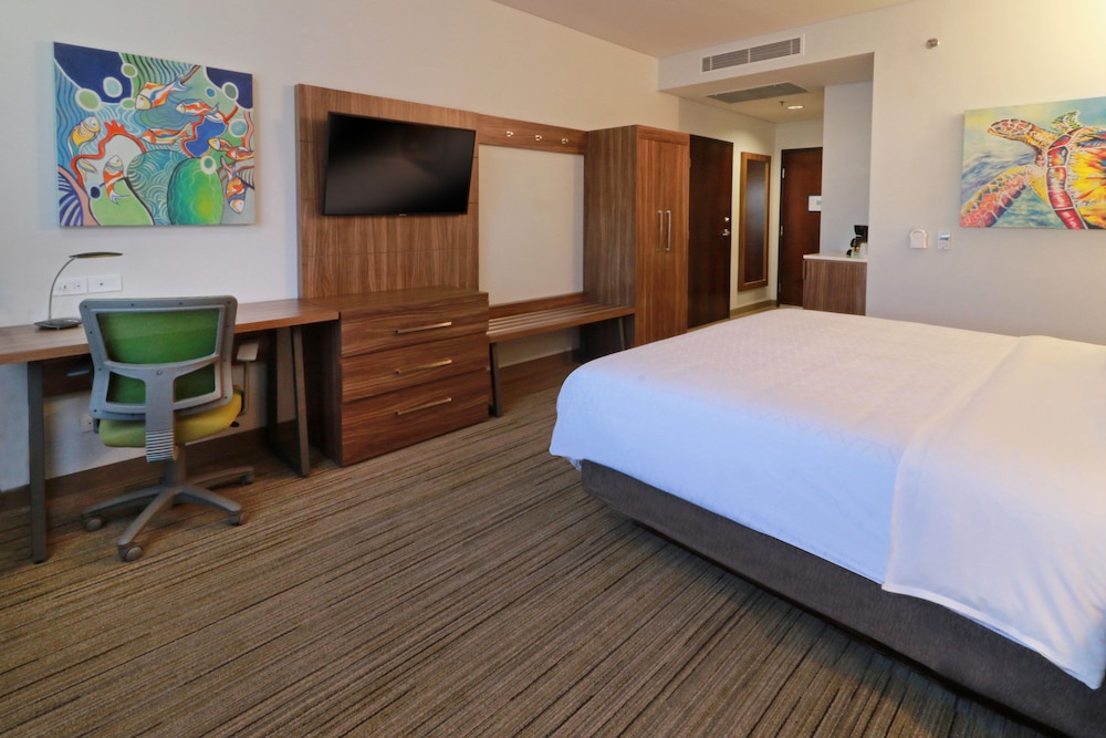 Suite, 1 King Bed - Photo 1