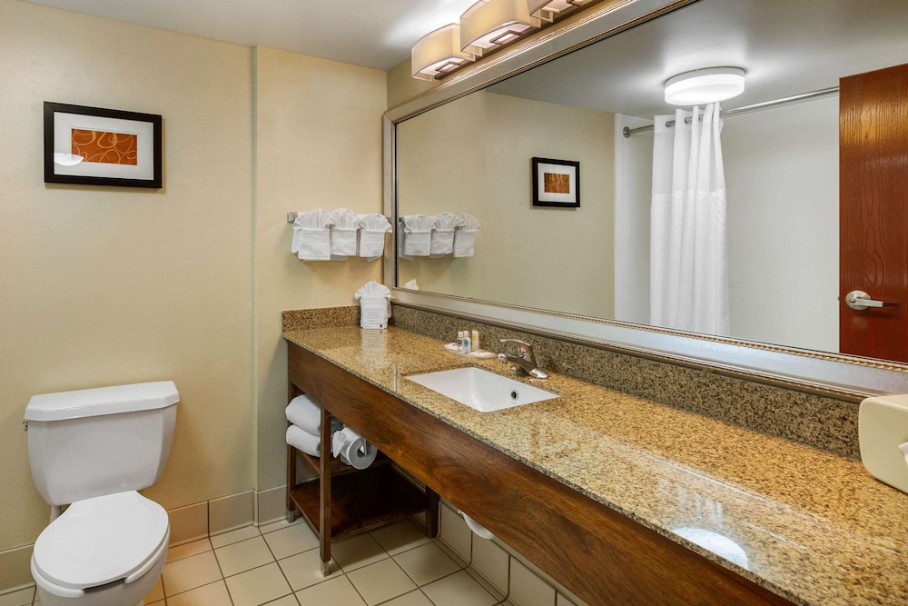 Suite, 1 King Bed, Non Smoking - Photo 4