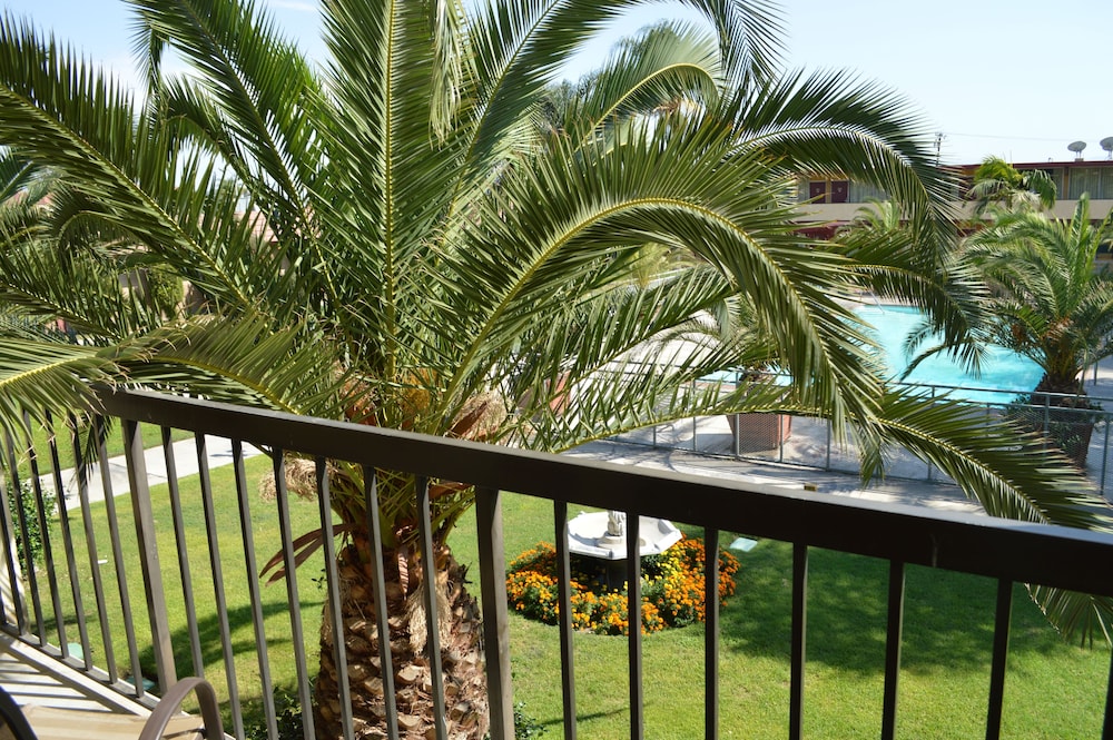 Executive Room, 1 King Bed, Balcony, Pool View - Photo 3