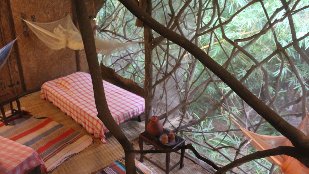 Basic Shared Dormitory, Women only photo 1