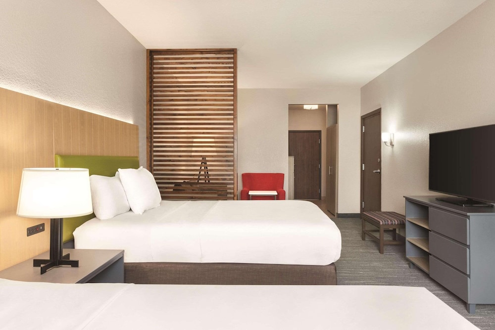 Studio Suite, Multiple Beds, Non Smoking - Photo 2