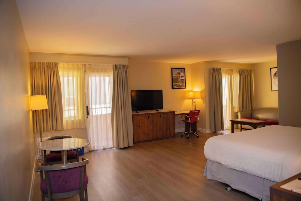 Suite, 1 King Bed - Photo 4