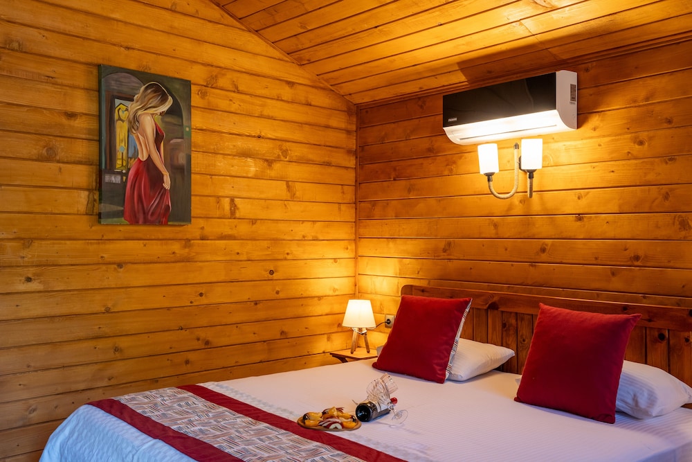 Standard Double Room, 1 King Bed photo 1