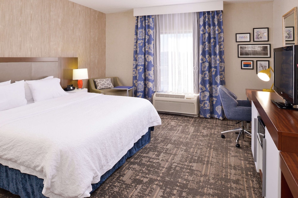 Room, 1 King Bed, Accessible, Non Smoking photo 2
