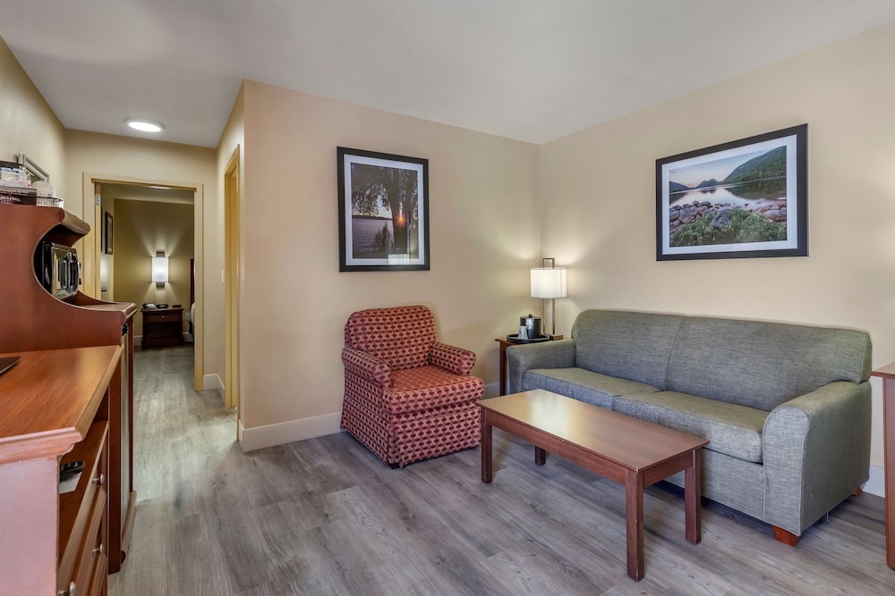 Suite, 1 King Bed with Sofa bed, Accessible, Non Smoking (with Sofabed) photo 1