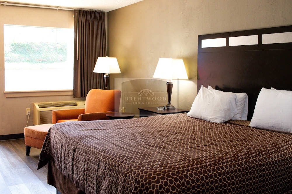 Single Room, 1 King Bed photo 2