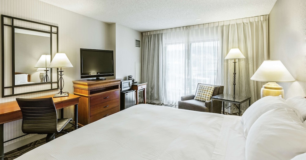 Room, 1 King Bed, Non Smoking, City View (Accessible Bathtub) - Photo 1