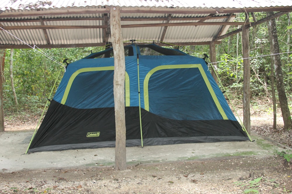 Family Tent, Non Smoking photo 3