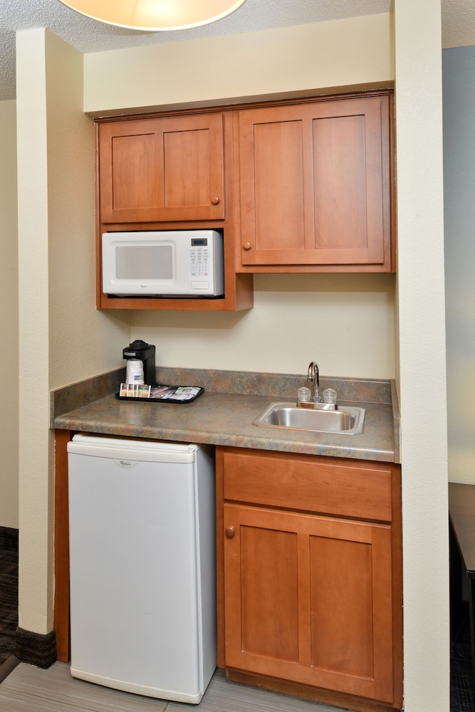 Suite, 1 Bedroom - Photo 7