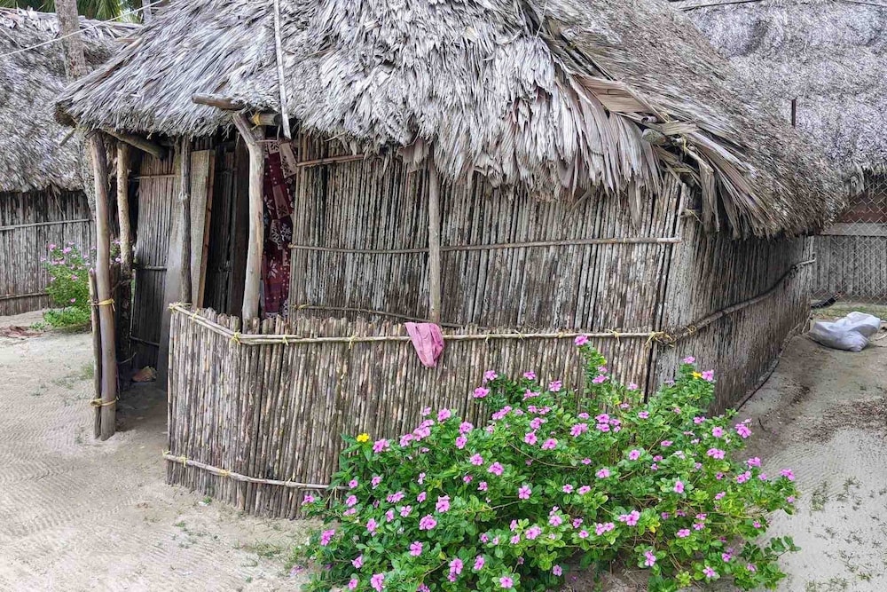 Basic Shared Dormitory