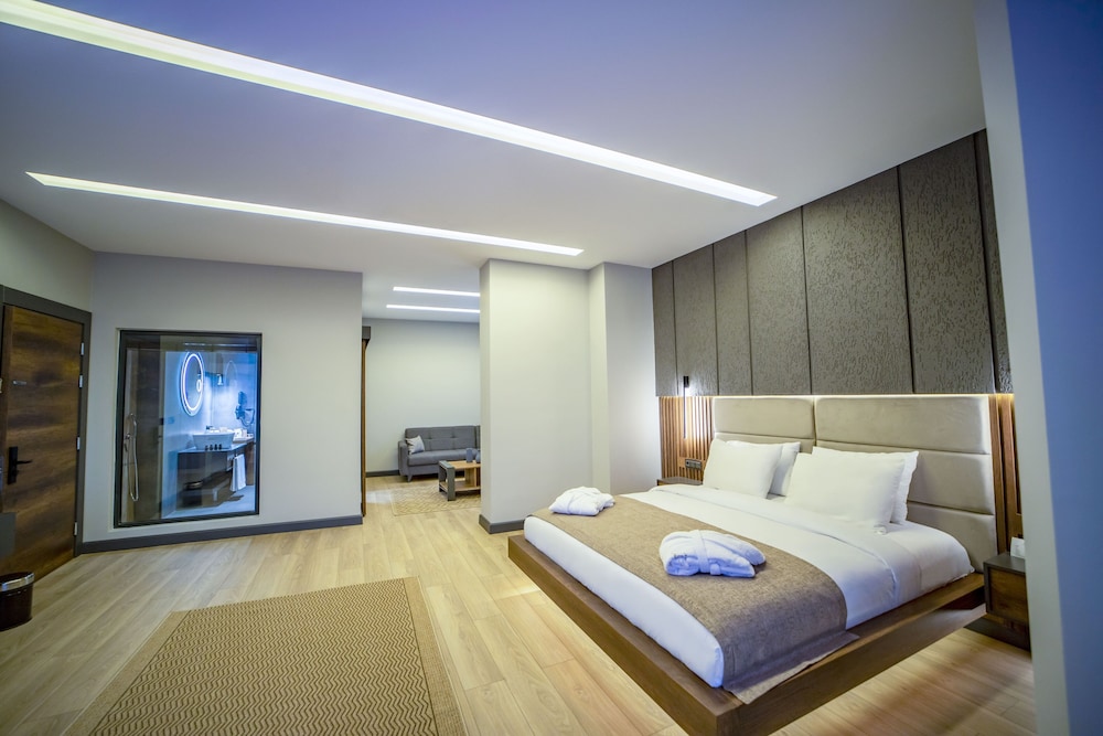 Luxury Room photo 2