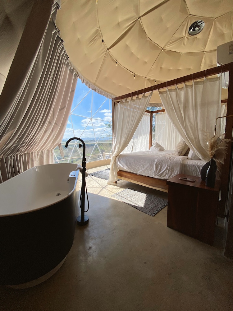 Superior Room photo 3
