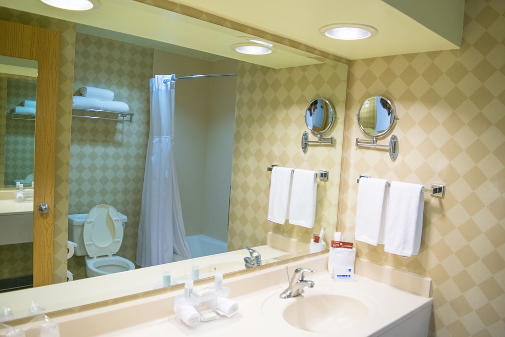 Suite, 1 King Bed (Living) - Photo 4