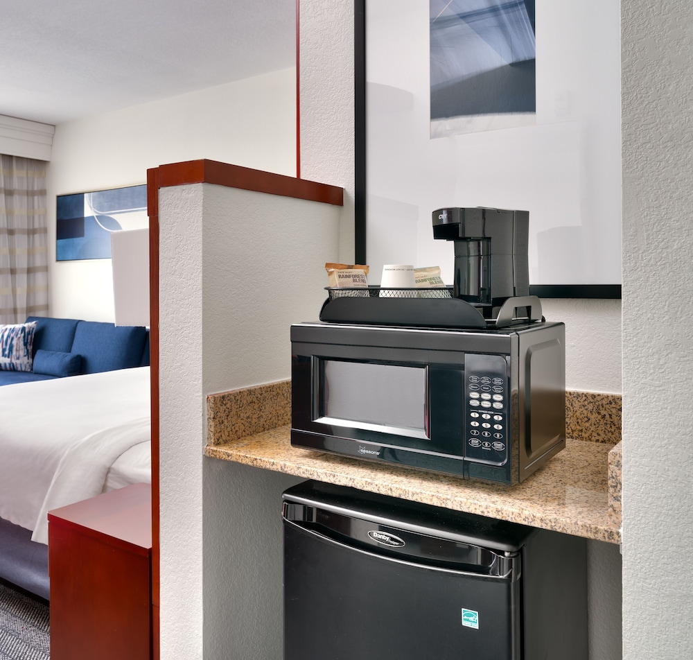 Room, 1 King Bed with Sofa bed
