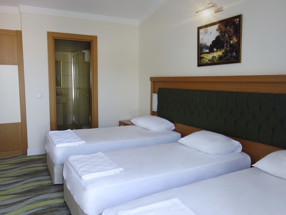 Triple Room, 3 Twin Beds photo 2