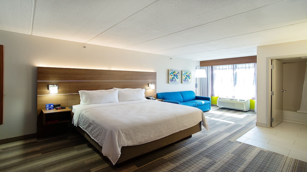 Suite, 1 King Bed - Photo 1