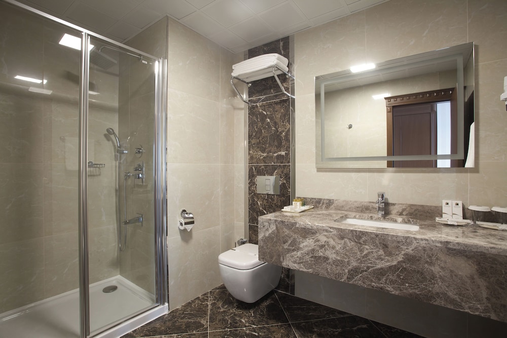 Double Room, Mountain View photo 2